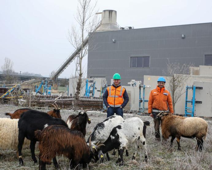 eco-paturage-graulhet-kp1