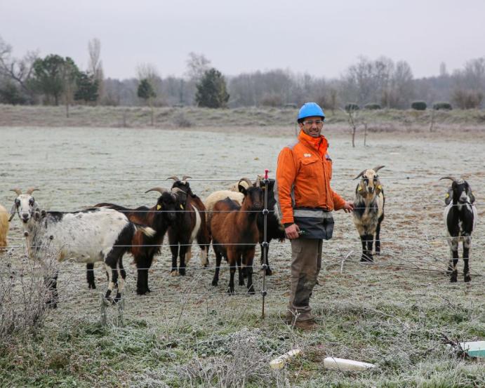 eco-paturage-graulhet-kp1